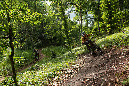 Heumöderntrails für jedes Level