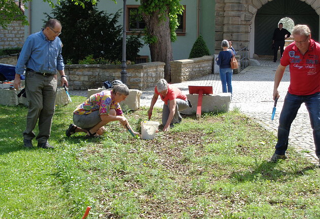 Blühflächenpflege am Stadtschloss Treuchtlingen