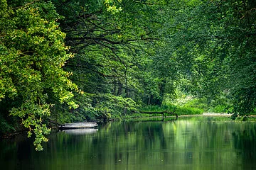 Zählt zu den schönsten Geotopen in Bayern - der Karlsgraben "Fossa Carolina"