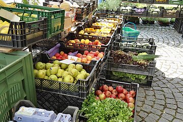 Gemüsevielfalt am Treuchtlinger Wochenmarkt