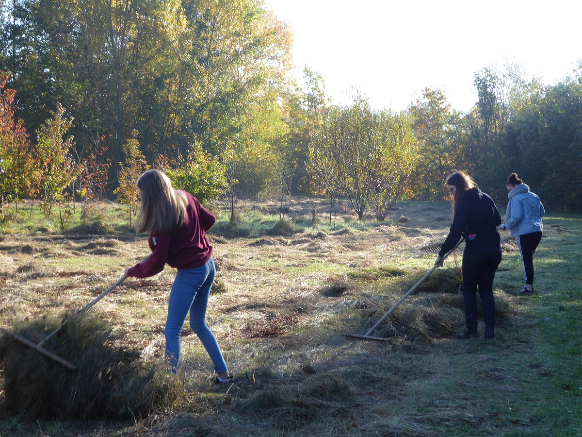 Das Foto entstand im Herbst 2019 bei der jährlichen Mahd der Auwiesen am Auen-Erlebnis-Pfad