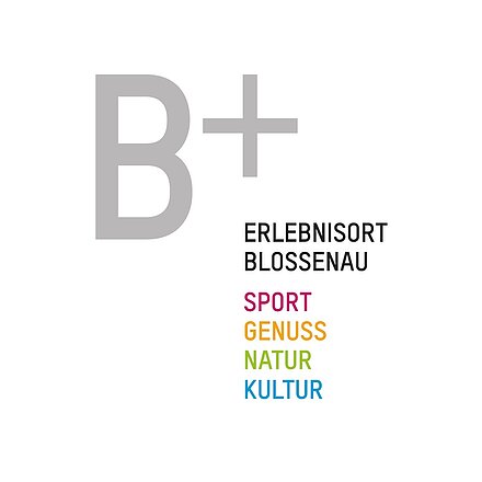 Logo B+