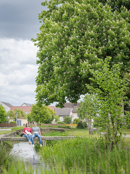 Brücken in Wettelsheim