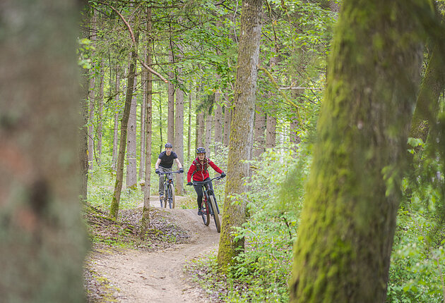 Mountainbiker unterwegs im Wald auf den Heumöderntrails