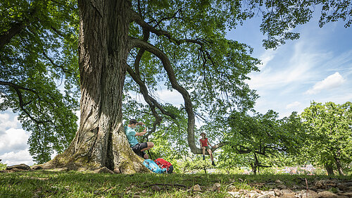 Naturschutzgebiet Buchleite in Markt Berolzheim