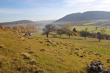Herbstlicher Ausblick vom Bubenheimer Berg auf den Viersteinberg