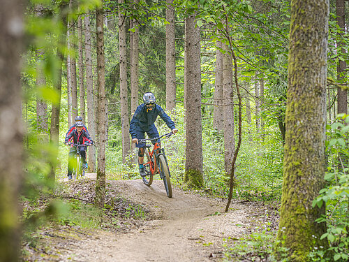 Mountainbiker im Wald auf den Heumöderntrails