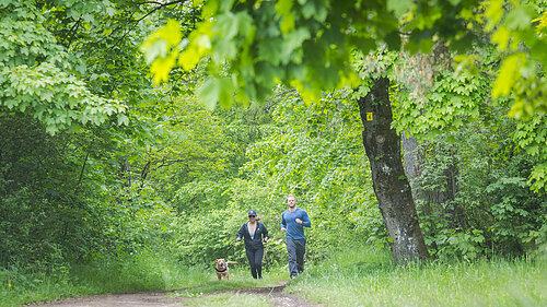 Pärchen joggt mit Hund auf einem Waldweg umgeben von grüner Natur.