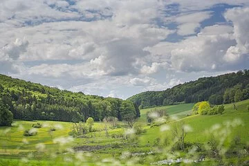 Rohrachtal bei Treuchtlingen