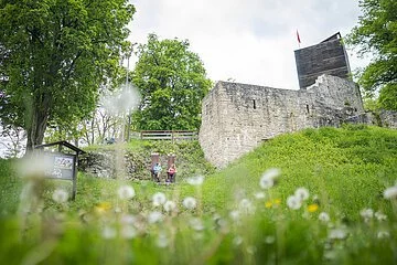 im Vordergrund Wiese mit Pusteblume, Gänseblümchen und co. oben Burgturm eingerahmt von Bäumen