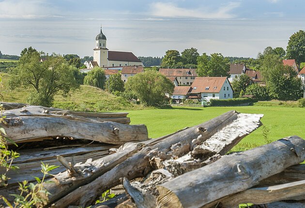 Blick auf Gundelsheim