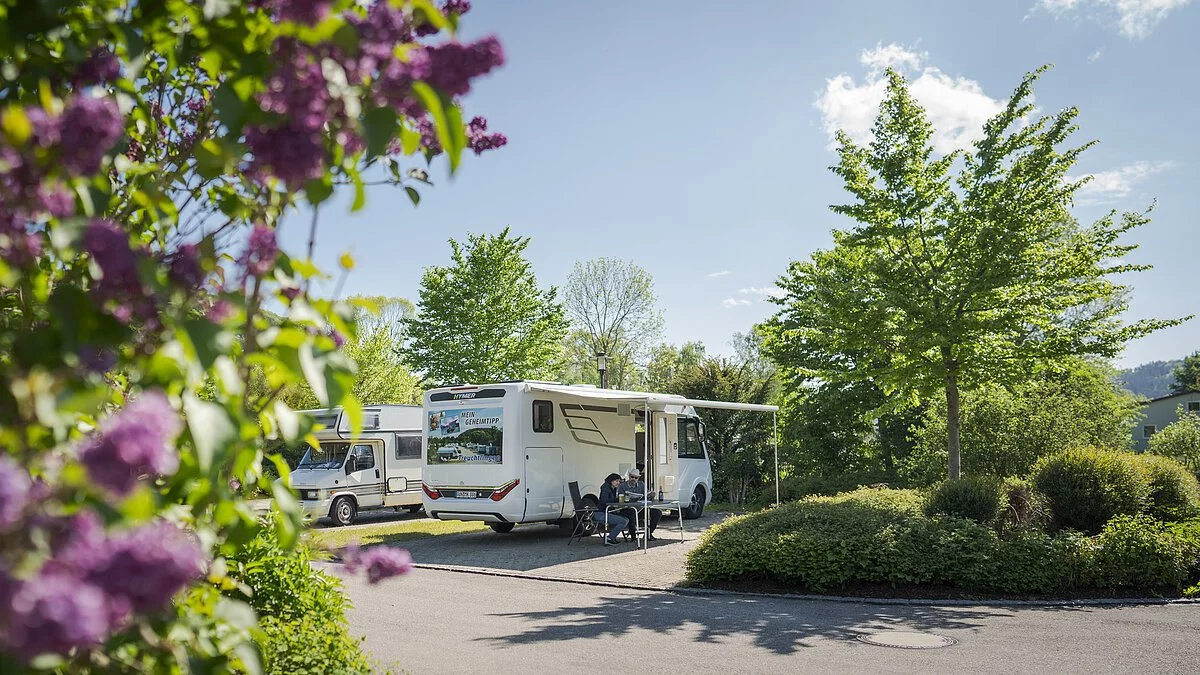 markisen für wohnmobile THULE Omnistor 5200 Markise 300 cm für Camper