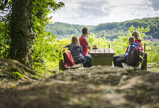 Eine Familie rastet unter Bäumen unter dem blauen Himmel und genießt den Ausblick.