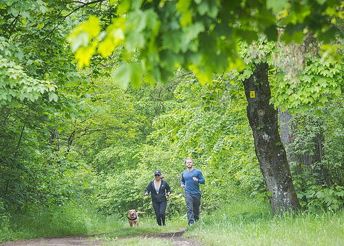 Pärchen joggt mit Hund auf einem Waldweg umgeben von grüner Natur.