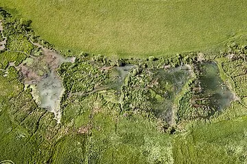 Das Rohrachtal oder Tal der Biber bei Wettelsheim aus der Vogelperspektive