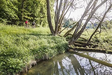 Zwei Radler fahren, direkt am Möhrenbach entlang, den Möhrenbachweg von Möhren in Richtung Gundelsheim