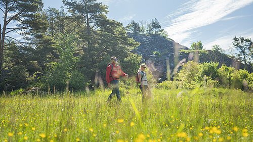 Wanderer von der Natur umgeben auf einer Wiese und im Hintergrund Bäume und ein Berg
