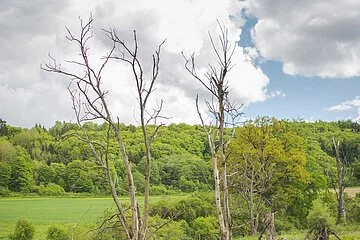 Zwei Damen auf Exkursion im Tal der Biber unterwegs