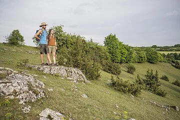 Paar wandert den Gundelsheimer Höhenweg und blickt in die Ferne