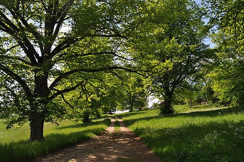 Wanderweg