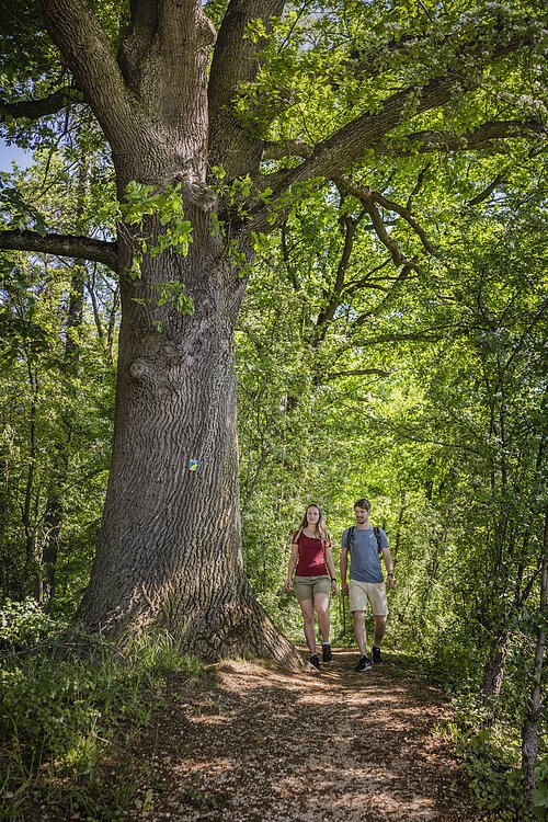 Wandern am Karlsgraben