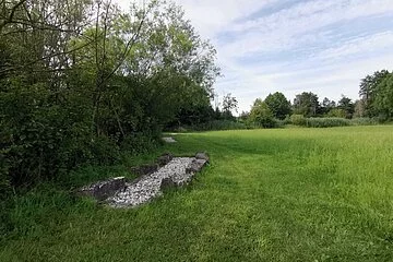 Eine Wiese mit einer Hecke zeigt ein Element des Barfußpfades im Kurpark mit Steinen gefüllt
