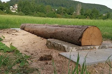 Ein Holzstamm, der zum Balancieren dient ist ein Element des Barfußpfades im Kurpark