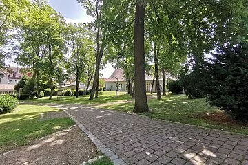 Blick in den schattigen Stadtpark mit hohen Bäumen und gepflastertem Weg
