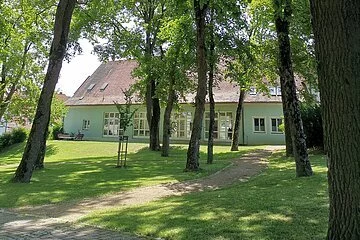 Schattiger Park mit hohen Bäumen und Blick auf ein hellgrünes längliches Gebäude