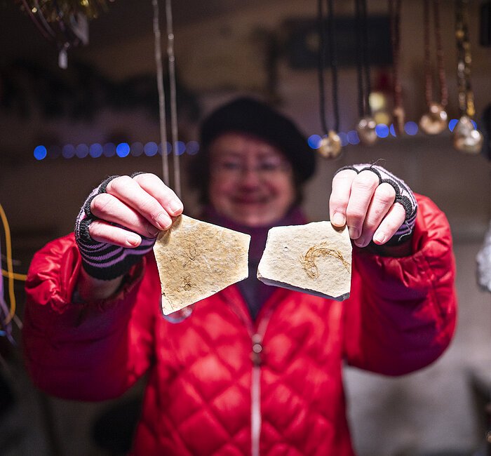 Treuchtlinger Schlossweihnacht - Fossilienstand