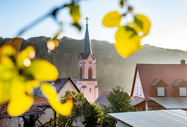 Ansicht der Kirche St. Zeno über den Dächern von Windischhausen