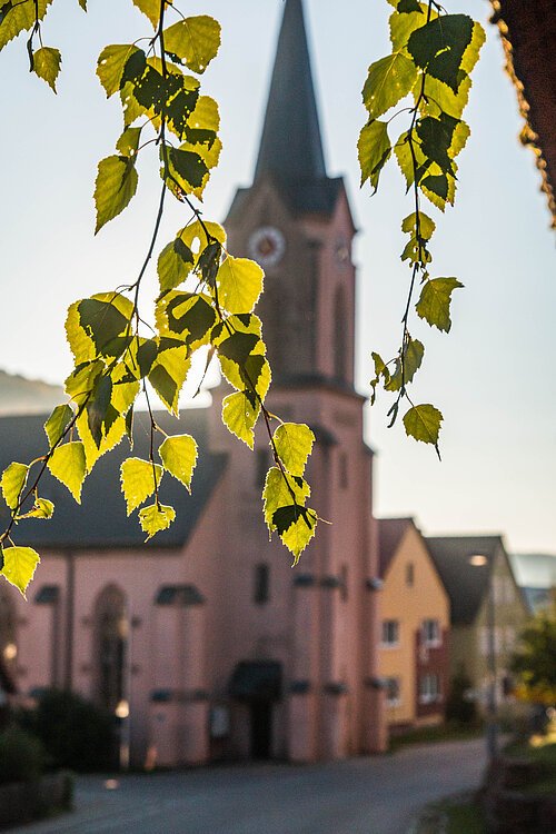 Ansicht der Kirche St. Zeno Windischhausen