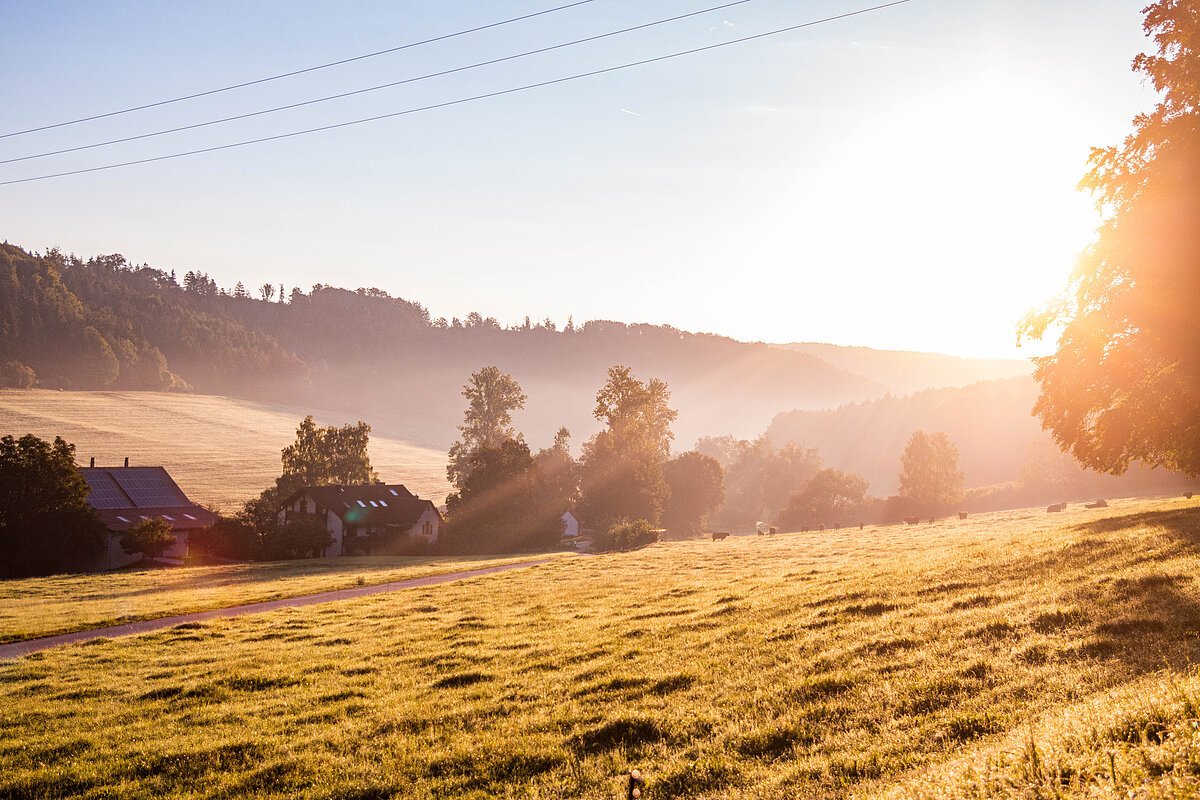 Sonnenuntergang über den Wiesen bei Windischhausen