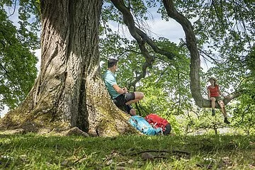 An einem großen Baumstamm lehnt ein Mann mit zwei Wanderrucksäcken. Eine Frau mit roten Shirt und Strohhut sitzt etwas entfernt auf einem dicken Ast des gleichen Baumes. Das Blätterkleid erstrahlt im satten grün. Der blaue Himmel blitzt durch die Äste.