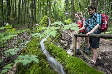 An der hölzernen Abgrenzung an der Steinernen Rinne steht ein Mann mit Bart, Brille und karierten Hemd. Neben ihm steht eine Frau mit Zopf und rotem Shirt. Beide schauen auf die Steinerne Rinne, ein Kalkgestein, die mit grünen Moos bedeckt ist. Der Wald dahinter erstrahlt im satten dunkelgrün.