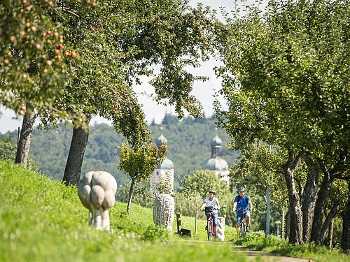 Radfahrer am Skulpturenweg in Wemding