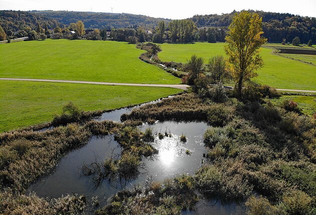 Die Schambach, der Riedbach, fließt Richtung Dietfurt durch grüne Wiesen