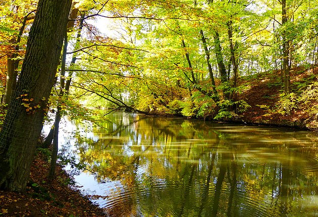 Fossa Carolina im Herbst