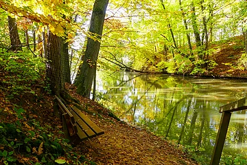 Fossa Carolina im Herbst