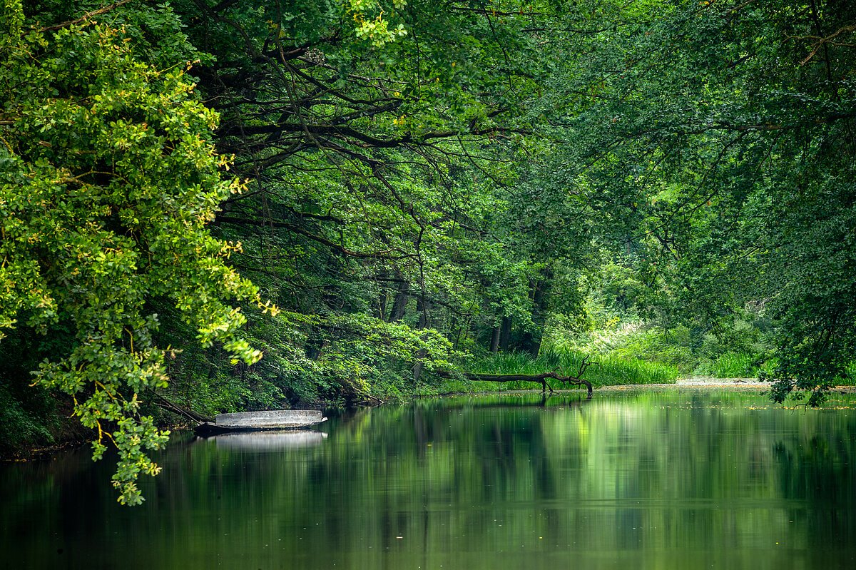 Zählt zu den schönsten Geotopen in Bayern - der Karlsgraben "Fossa Carolina"