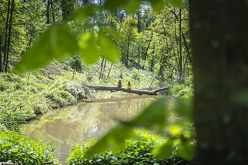 Zwei Frauen sitzen rücklings auf einem Baum der quer über den Ausläufer des Karlsgraben liegt.