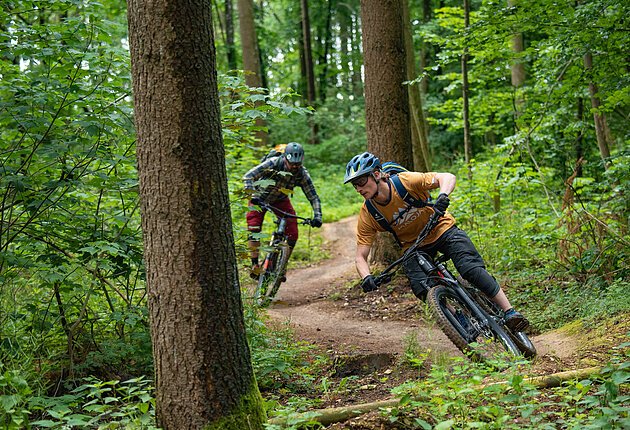 Mountainbikeerlebnis auf den Heumöderntrails