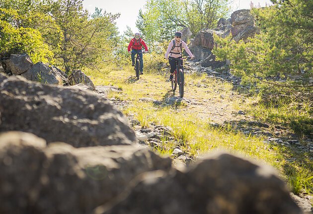 Fahrradfahrer die zwischen einem Berg und Büschen fahren