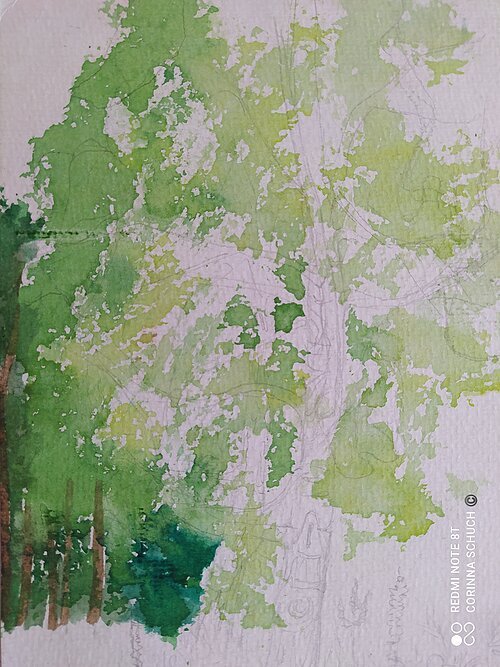 Auf dem Bild können mit Aquarellfarben gezeichnete Bäume und grüne Blätter gesehen werden. Der Stamm der Bäume wurde teilweise nicht mit Farbe ausgefüllt, weshalb diese teilweise noch mit Bleistift skizziert sind.