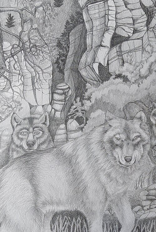 Auf dem Bild sind 2 Wölfe in einer Naturlandschaft zu sehen. Diese wurden mithilfe eines Bleistiftes gezeichnet.