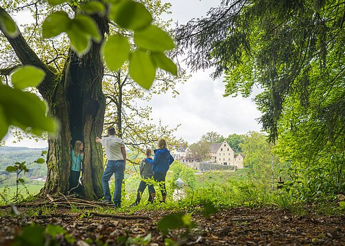 Treuchtlingen 2021 Kalvarienberg Möhren