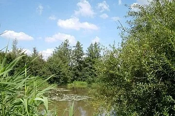 ...Biberrutsche