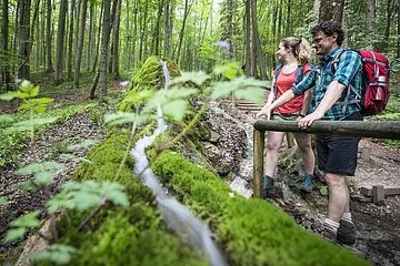 Entdeckungen an der Steinernen Rinne bei Wolfsbronn